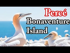 Perce and Bonaventure Island, Quebec, Canada in 4K - Things to Do
