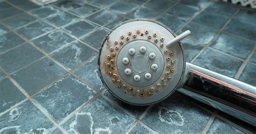 Daily Express shares how to remove limescale from showerhead