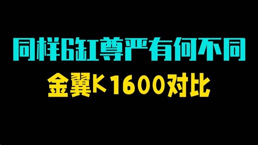 同样6缸的尊严 有何不同 金翼和K1600对比 这期我站起来了为的是试图给大伙讲讲K1.....