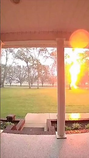 Lightning Strikes the Tree — Nature’s Raw Power Unleashed! part -4 #NaturePower #newyork