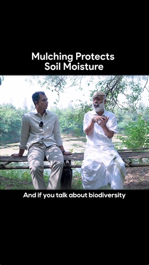 Theagritalkshow | Mulching क्यों ज़रूरी है soil aur plant growth के लिए? mulching benefits, mulching for soil health, mulching for plant growth, soil... | Instagram