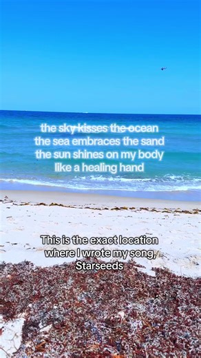 Starseeds: A Musical Journey with Stella Paris