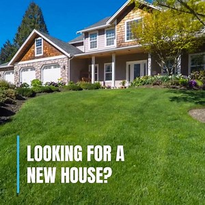 247 reactions · 34 shares | Mooooove over boring Real Estate ads  Try fun videos like this one to grab your clients’ attention! | Promo.com | Facebook