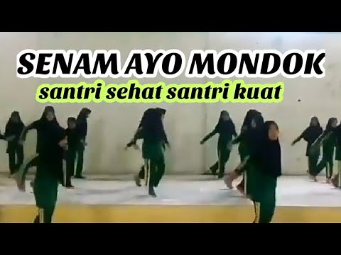 SENAM SANTRI VERSI LAGU AYO MONDOK\n#santrialfarhan