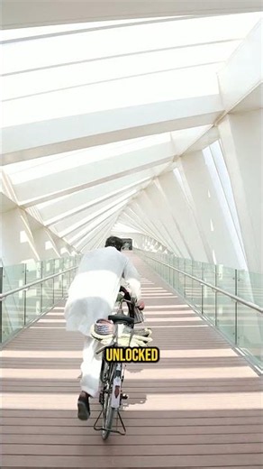 99% Don't Know This Bridge Secret! 🌉