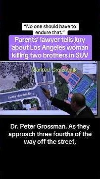 Parents’ Lawyer Tells Jury About LA Woman Killing Two Brothers In SUV