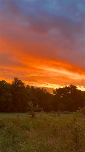 15K views · 964 reactions | Good morning | Meteorologist Chris Nunley | Facebook