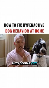 296K views · 2.7K reactions | I helped a hyperactive dog who eats...