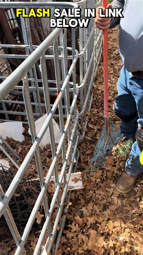 Effective Yard Cleanup Tips for a Tidy Space