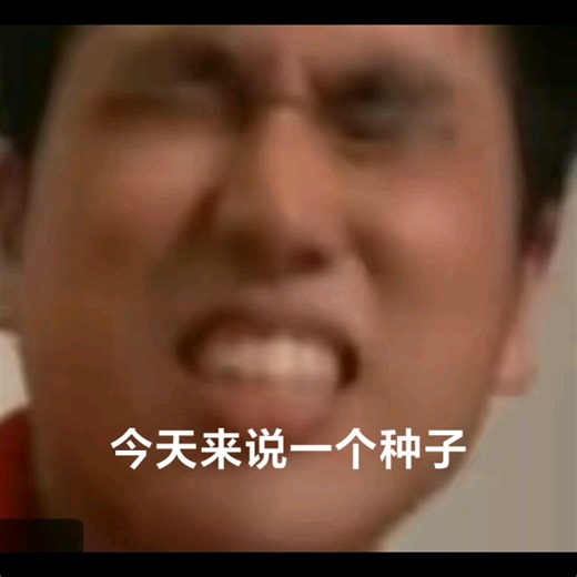 石中剑种子 泰拉瑞亚
