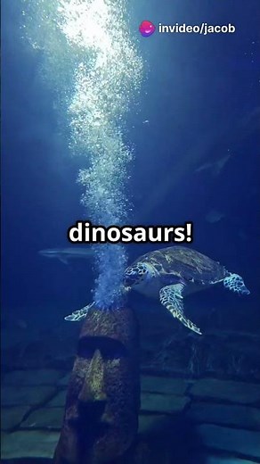 Adorable Sea Turtles: The Cutest Ocean Babies!