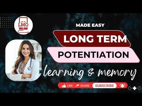Long-Term Potentiation (LTP) Made Simple | Memory