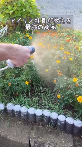 アイリスオーヤマ【公式】アイ ラブ アイデア｜家電・日用品 on Instagram: "電源も水道もいらない👀ポータブルウォッシャー ———————————————— この商品がいいなと思ったらコメント欄に「🌻」で教えてね！😊 ———————————————— 車の洗浄やガーデニングなどの際、屋外での水の確保ってどうしてますか？👀 今回ご紹介するのは水道や電源を確保しなくても屋外で洗浄できる 給水タンクとバッテリーを内蔵したポータブルウォッシャーです✨ ジェットモード、シャワーモード、キリモードから選べる3種類の流水モードを使い分ける事で様々なアウトドアやお掃除に活用できます🏕 タンク容量は8L,連続使用は24分可能なので水を入れ替えなくてもたっぷり使うことができるのもおすすめポイントです👍 ▷商品情報 ポータブルウォッシャー JPW-T81 ▷サイズや製品の詳細については、@irisohyama プロフィール欄のURLより、ショップページをご覧ください！ ▷気になるアイテムは、右下の保存マークを押してあとから見返してみてください！ の ※価格につきましては販売店により異