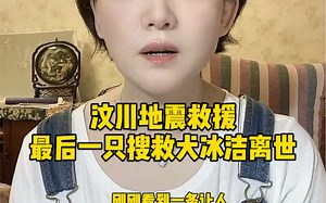 汶川地震最后一只搜救犬冰洁离世，享年14岁，地震中勇救13人