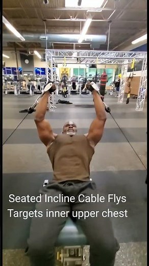 Seated Incline Cable Flys targets inner upper chest