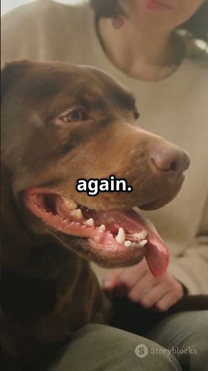 📱🐶 The Time My Dog Argued With Alexa | Funniest Smart Home Moment Ever! 😂