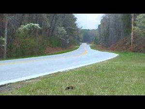 GTO GMMG vs Spintech Video