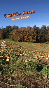 2.1K views · 32 reactions | Open for Columbus Day! Come pick out pumpkins @ Triple B Farms  Open Noon to 6pm, see you soon!! | Triple B Farms | Facebook