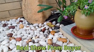 20lbs Large River Rocks for Landscaping, 3-4" Black Pebbles for Garden Design, Hand-Picked Smooth Stones for Fish Tank, Flower Pots, Indoor Water Fountains, Pathways, Backyard