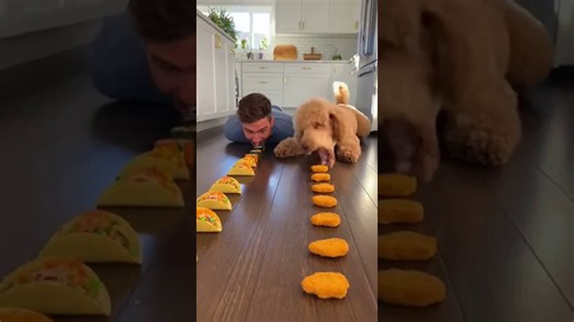 Dog vs Man Eating Contest: Hilarious Showdown!