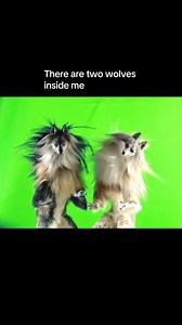 4.9K views · 187 reactions | There are two wolves inside me #wolf #wolves #Stopmotion #Animation #stopmotionanimation #roomguardian | Anya Boz | Facebook