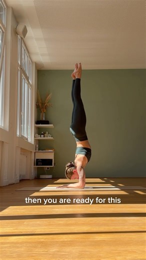Get your first Pincha - Forearm stand ☺️ #inversion #pincha #tutorial