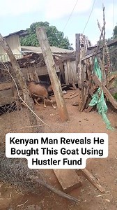 1.7M views · 19K reactions | Kenyan Man Reveals He Bought This Goat Using Hustler Fund @the game changer original | True Signal News/TSN | Facebook