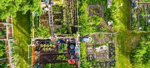 What You Have to Know to Start Homesteading | DoItYourself.com