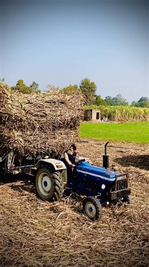 Unstoppable New Holland Tractor Pulling Heavy Load PTO Trolley in Punjab