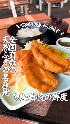 魚太郎本店 on Instagram: "【平日限定！天然ふぐ唐揚げ定食】🐡 知多半島漁港からピカピカの地魚を毎日直送！ 海鮮丼専門の旨いもの屋台に この時期ならではのふぐの唐揚げ定食が登場！ 全国有数の天然ふぐの名産地ならではの 【価格破壊】 ￥990（税込） なんと￥1,000でお釣りきます！ 魚太郎本店 📌旨いもの屋台（鮮魚市場入口） ⏰営業時間 [平日] 10：00～16：00（LO：15：00） [土・日・祝] 10：00～17：00（LO：16：00） 年末年始は営業時間が変更になる場合があります。 📞0569-82-6188 🐟毎日の魚の入荷情報は公式HPと公式Xにて毎日更新 🅿600台無料 👉併設の 市場食堂は魚食堂おいしい刺身定食ならここ 👉併設の 浜焼きBBQは年中無休・手ぶらでOK・予約なしOK 👉鮮魚市場で旬のお買い物 #魚太郎 #地魚 #魚太郎本店 #鮮度にこだわる魚屋 #漁港直送 #魚市場 #旨いもの屋台 #海鮮丼 #魚屋の海鮮丼 #知多半島グルメ"