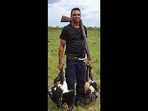 Slow cooked Magpie Goose