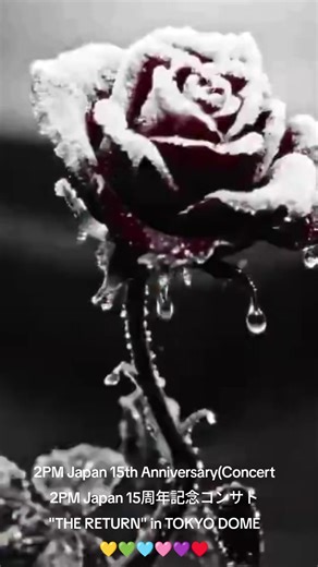 2PM Japan 15周年記念コンサート「THE RETURN」
