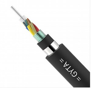 [Hot Item] G652D Fiber Optic/Optical Armored Direct Cable