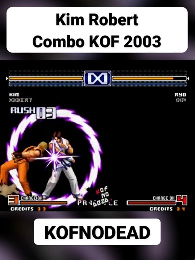 Ultimate Kim Robert Combos in KOF 2003