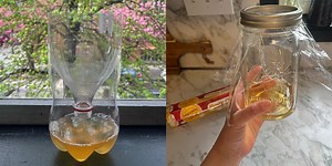 I tried 4 home-made fly traps — here’s what worked