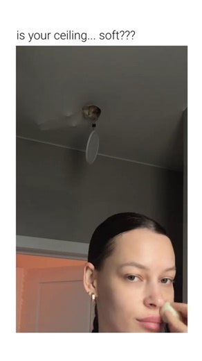 Cat Humors | This viral clip features a cat navigating the space above a flexible interior surface, creating a "liquid" visual effect. The Subject The... | Instagram