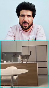 #OMG Now You can talk to your Cat 🐈 AI Decoded Cat Language #Cat #pet #ai #viral #Language #viralreels #viralvideo #pets #animals #revolution #viralpost #viralpage #viralfbpost | The Fuse