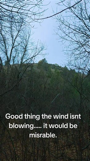 scot (@scot6983)’s videos with original sound - scot