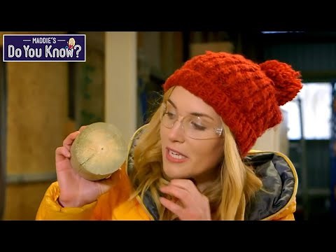 How Does It Work? - Compilation | Maddie's Do You Know 👩