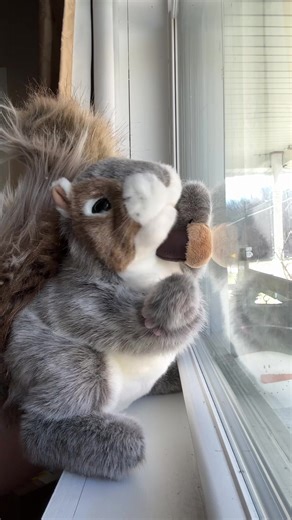 Dance to the Beat with Funky Music Fun