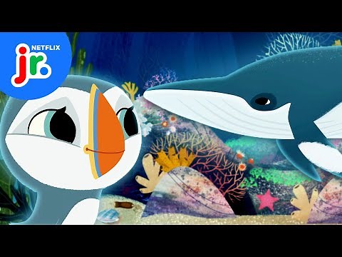Oona and Silky’s Baby Whale Rescue Mission 🐋 Puffin Rock | Netflix Jr