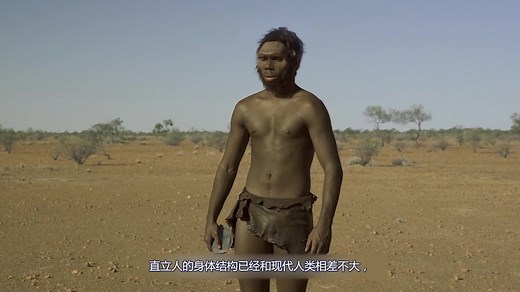 人类祖先（南方古猿到直立人）起源旧石器时代早期人类世界历史文明史