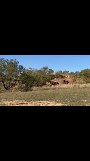 46K views · 793 reactions | For those of you who don’t know, leather...