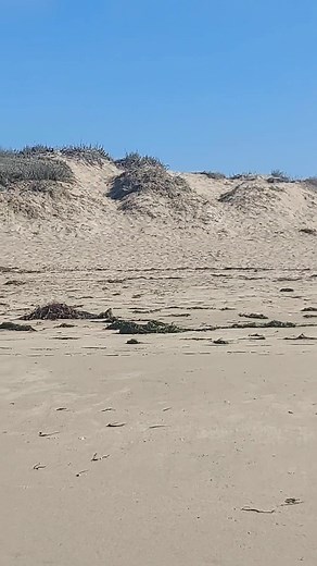 Moss Landing State Beach. #mosslanding #westcoast #westcoastbestcoast #montereybay #california #pacific #pacificocean #ocean #beach #beachvibes | Leslie Ann Eyre