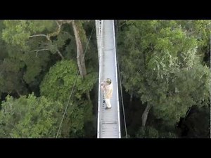 FIELD TRIP WITH PATRICK BLANC IN BRUNEI