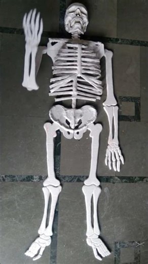 👉 “Thermocol se banaya Human Skeleton 💀 | DIY Biology Model 😳” #shorts