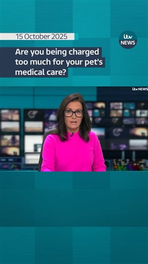 Vets could soon be forced to show prices upfront and tell you when meds are cheaper online. Chris Choi reports on major proposals to make vet care more transparent and affordable. @petscribers #itvnews #news | ITV News