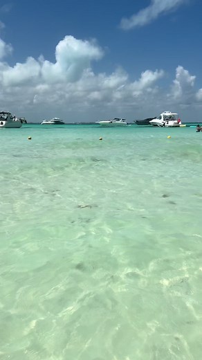 Experience Cancun: The Ultimate Spring Break Adventure