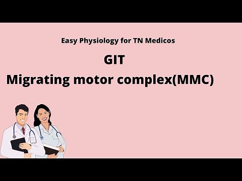 Migrating motor complex