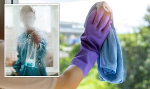 Tips and techniques for keeping your windows clean